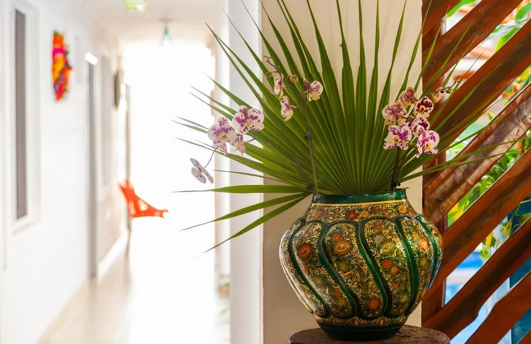 Mestizo Gallery-1